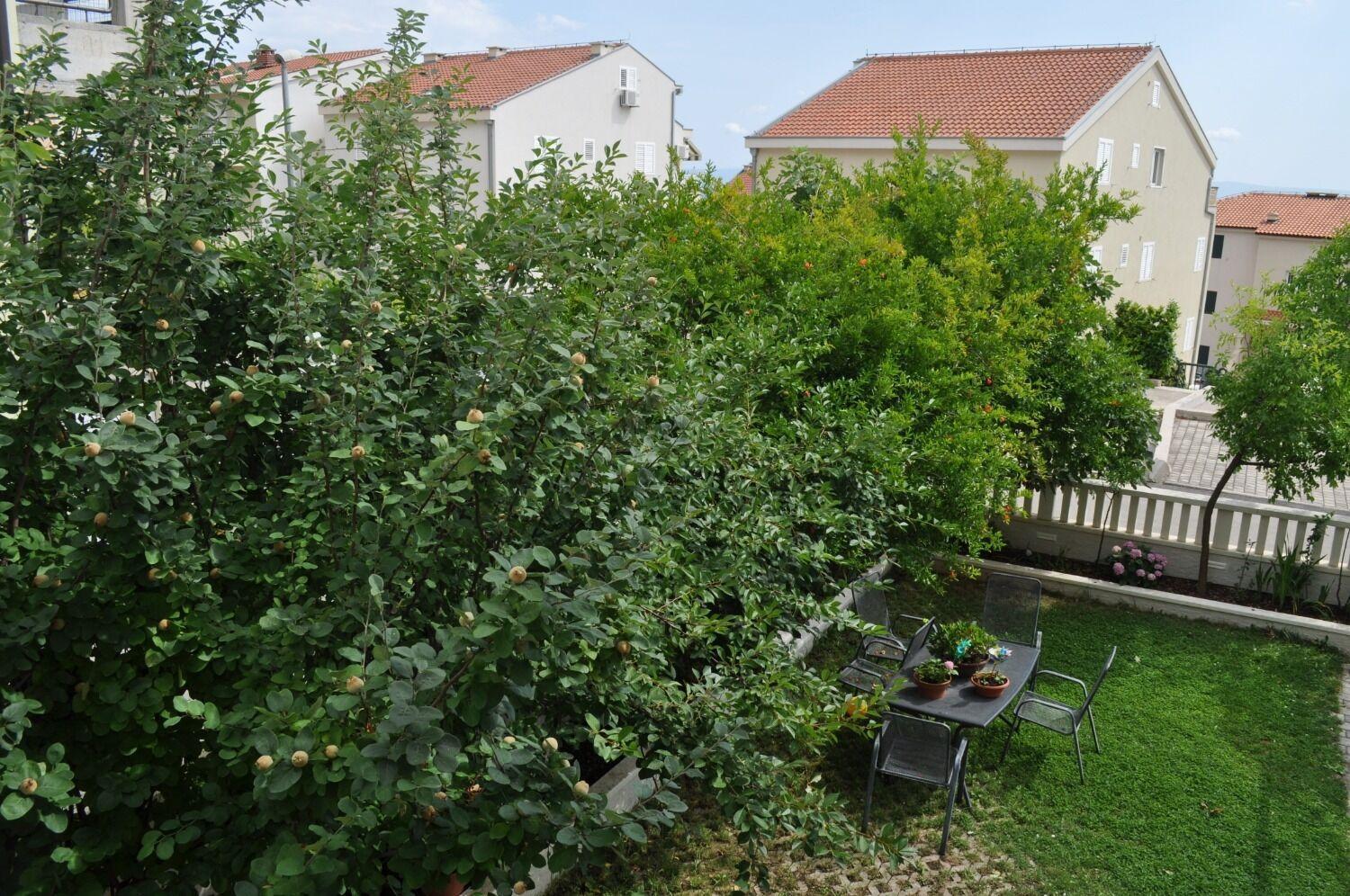 Apartment Ivi Makarska